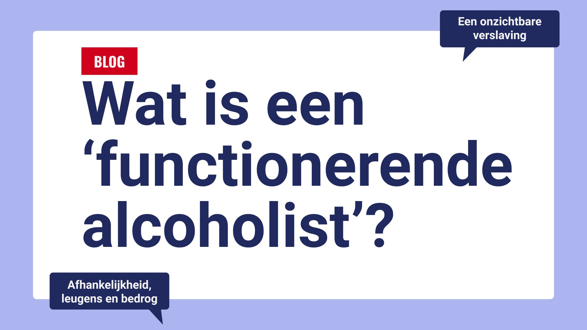 de functionerende alcoholist